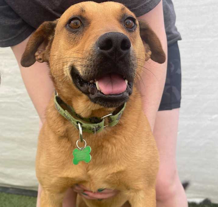 Photo of Scooter Boy