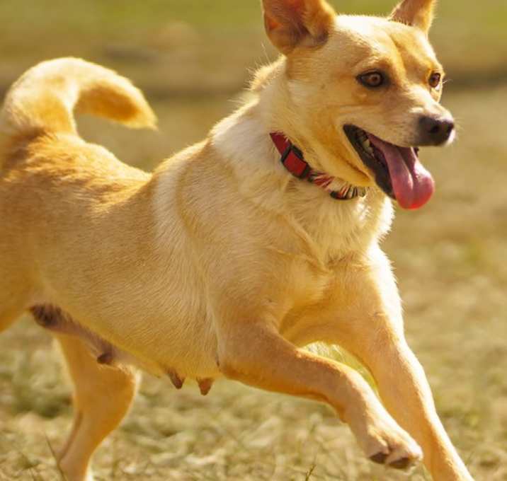 Photo of Busy B Mom Bonnie