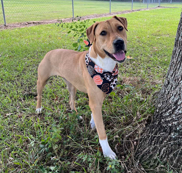 Photo of Pinky Dinky Doo