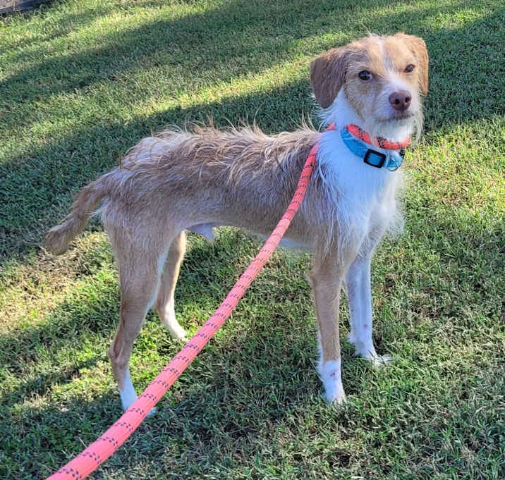 Photo of Mr. Bubbles