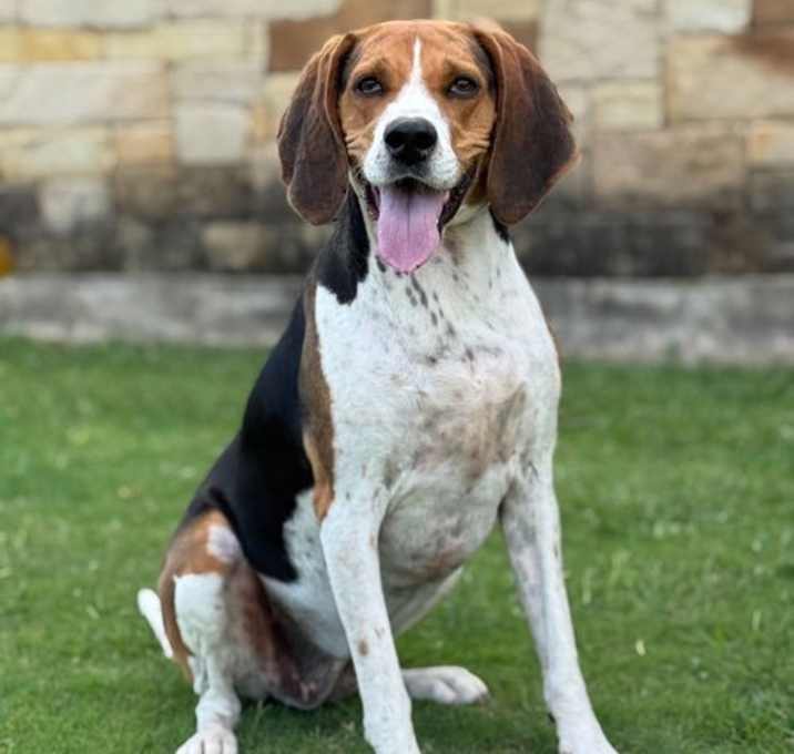 Photo of Lila
