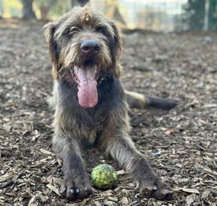 Photo of ULYSSES