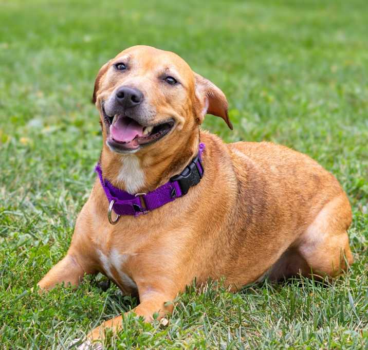 Photo of Nevaeh (Bonded w/ Puppy Girl)