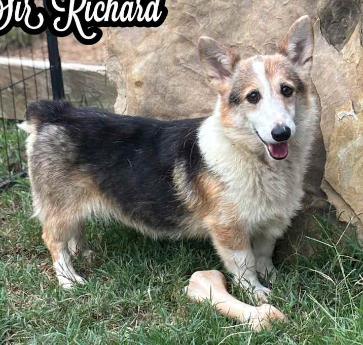 Photo of Sir Richard