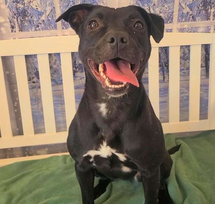 Photo of Celeste Yrly 402