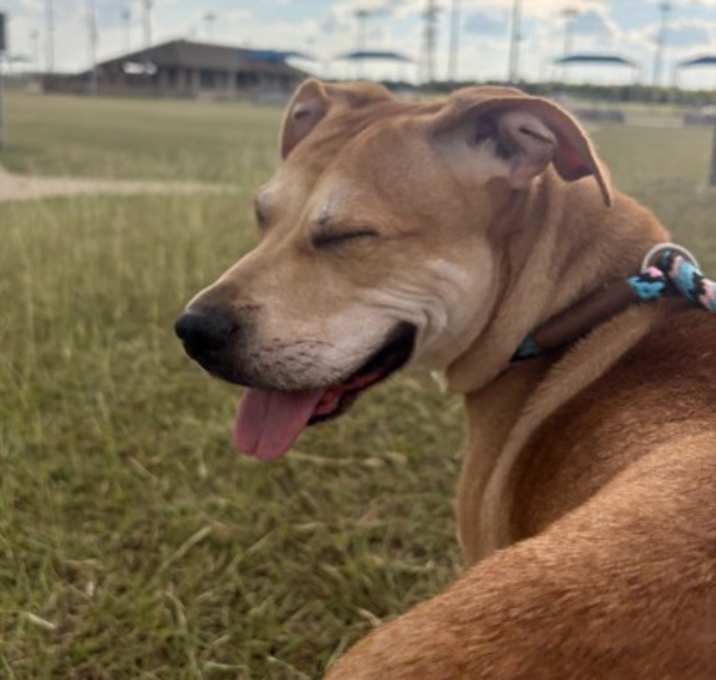 Photo of Sophie