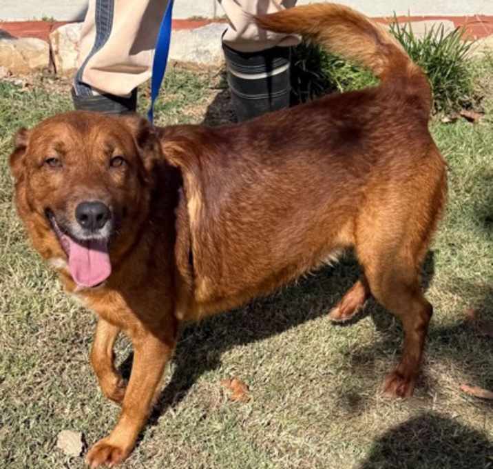 Photo of Big Lots CNTY-372