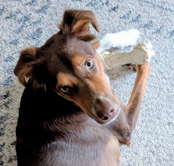 Photo of Quincy