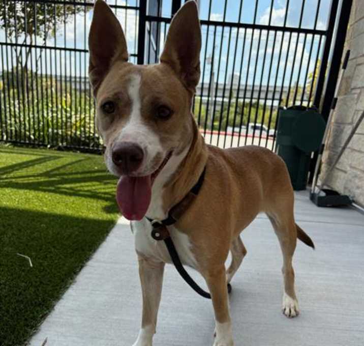 Photo of BELLE