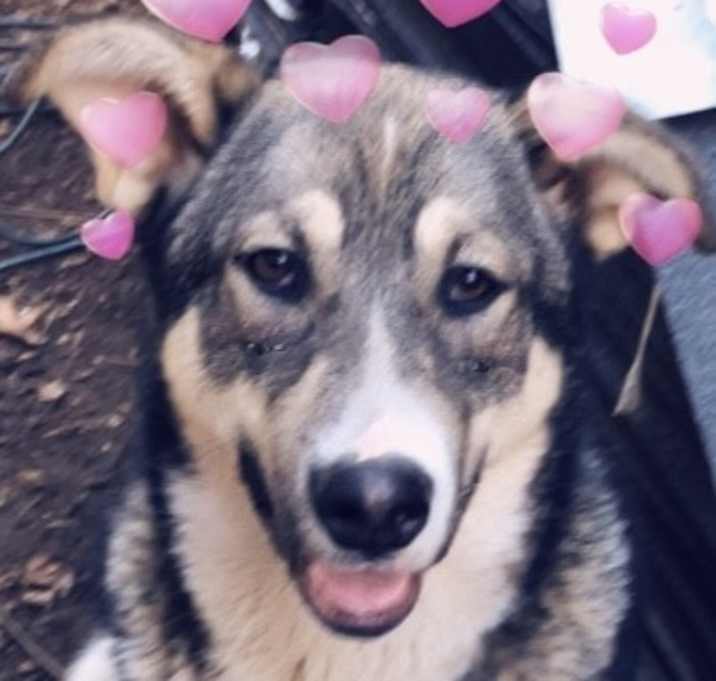 Photo of Mimi