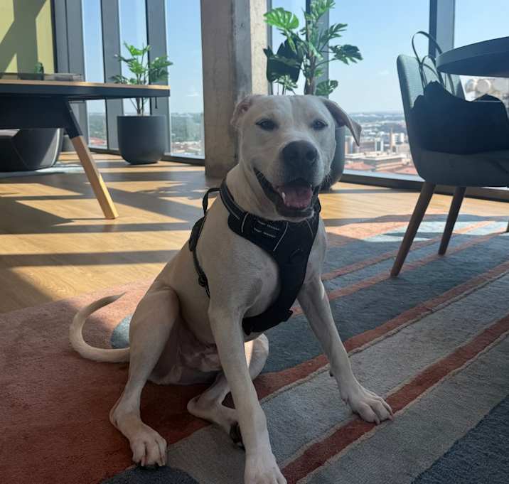 Photo of Peanut Butter Baby