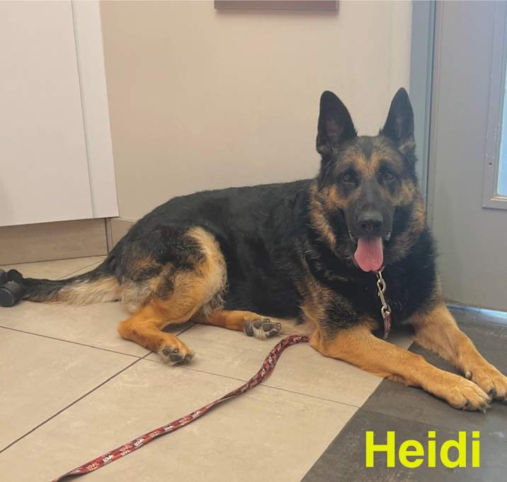 Photo of Heidi-Foster me?