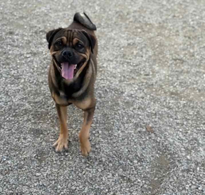 Photo of Milton