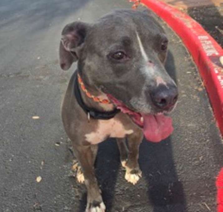 Photo of Hercules