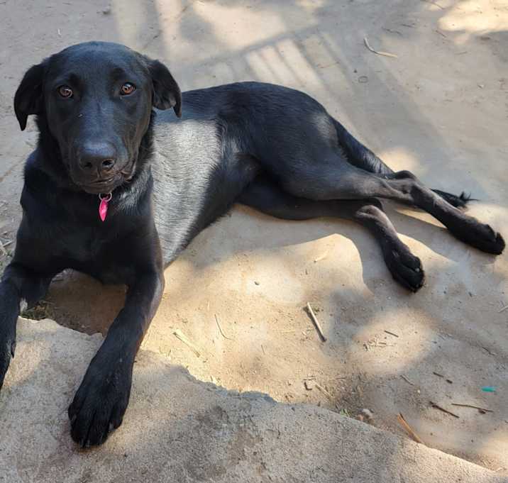 Photo of Jasmine