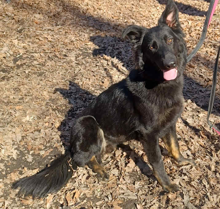 Photo of Retta(Rooter)