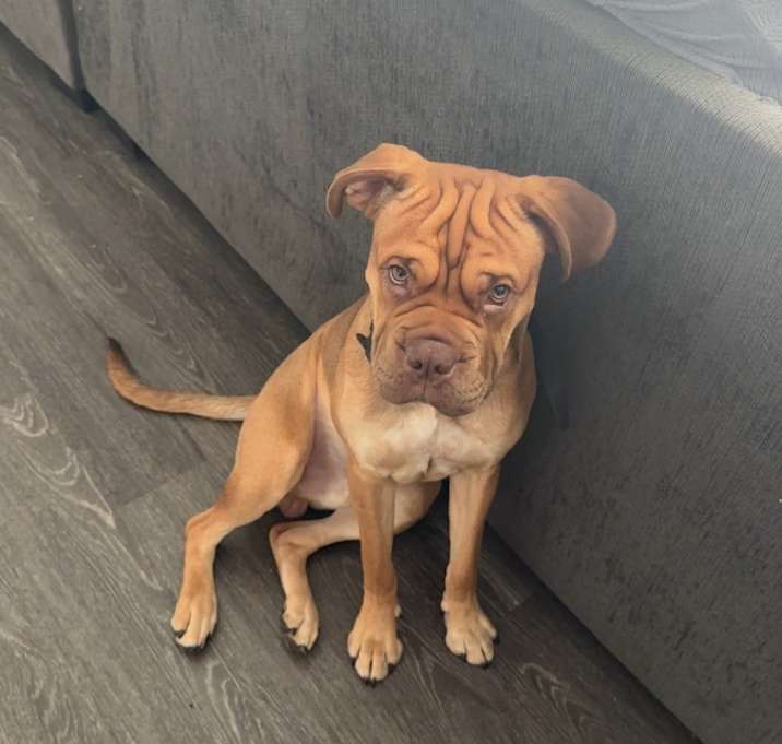 Photo of Rylo