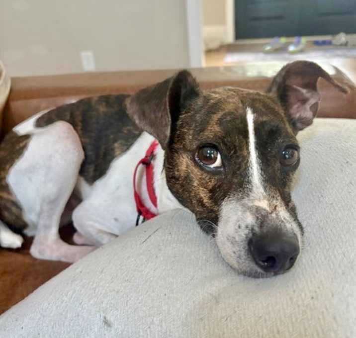 Photo of Waylon James