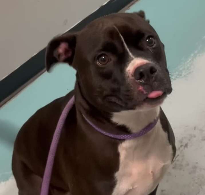 Photo of Jiggy Aka Rocker