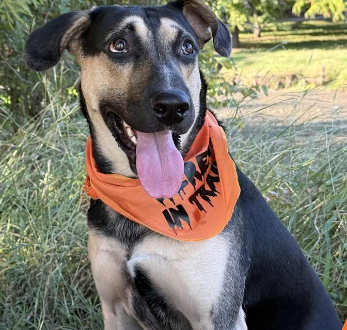 Photo of Owen Wilson