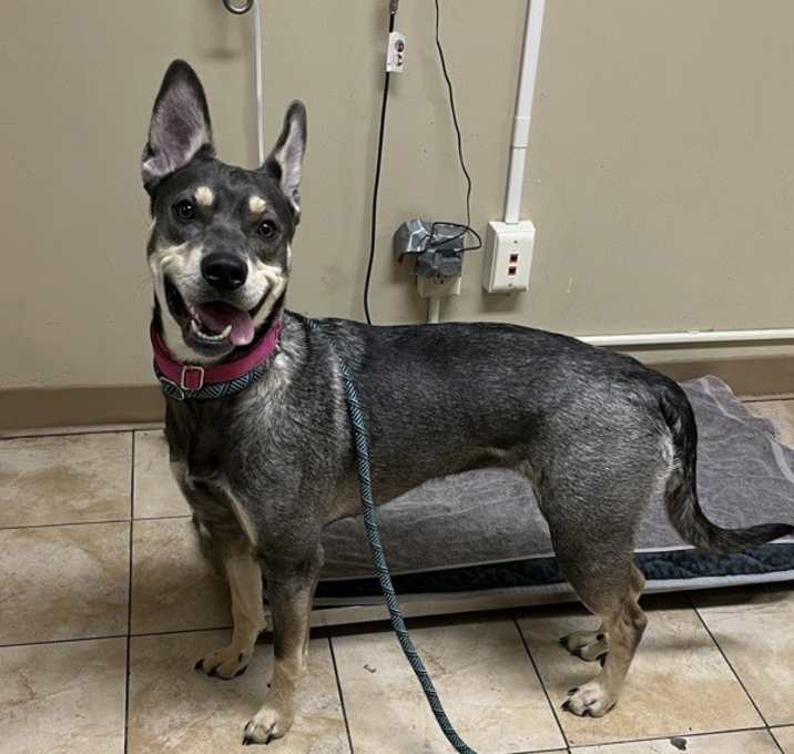 Photo of Lucy