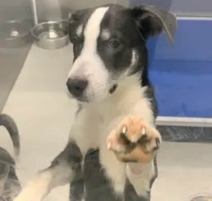 Photo of Pumpkin Spice