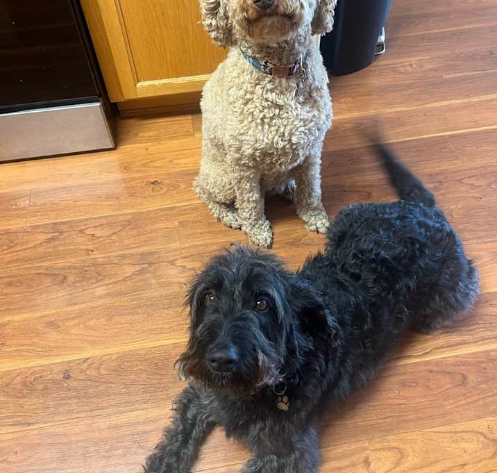 Photo of Morris and Opal