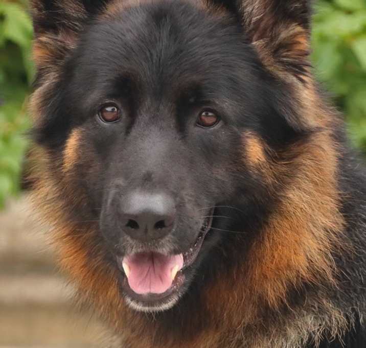 Photo of Lila von Langerfeld