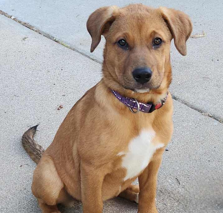 Photo of Lilah