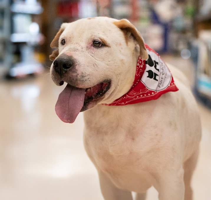 Photo of Petey Bailey