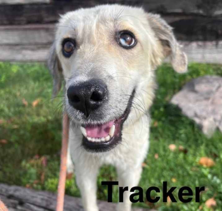 Photo of TRACKER