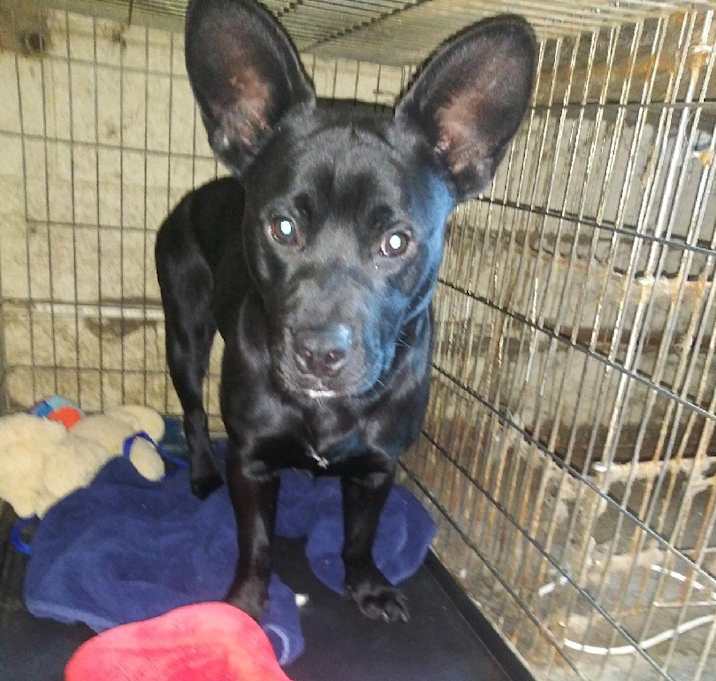 Photo of FRANCO & BRIE