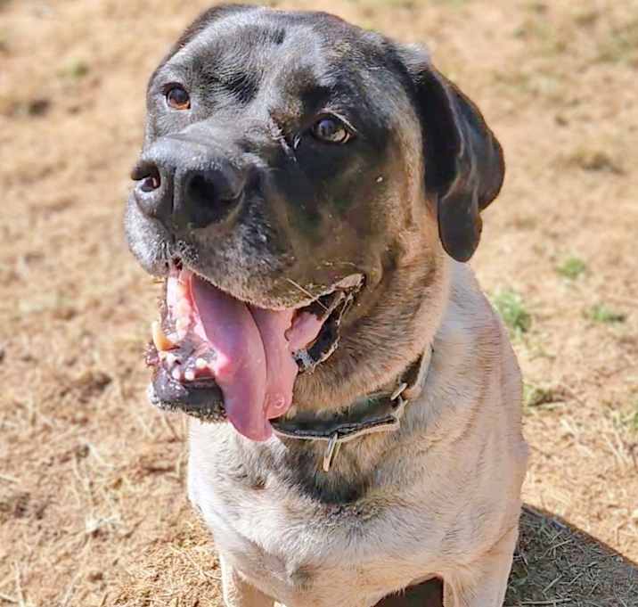 Photo of Bellatrix aka "Willow Eliza"