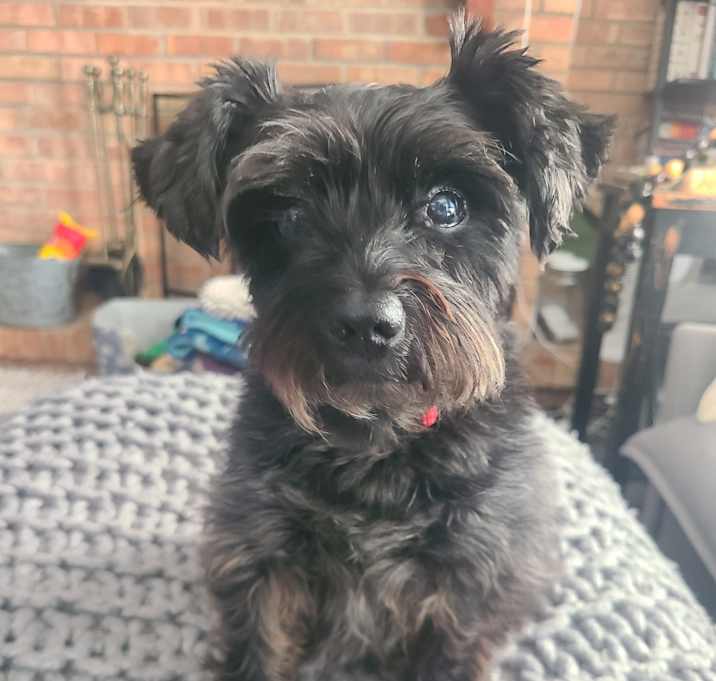 Photo of Marceline (Marci)