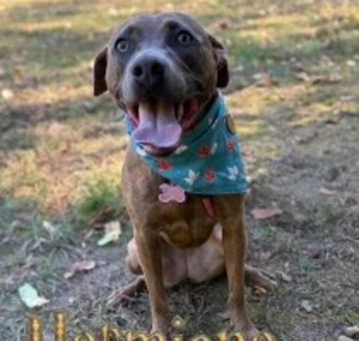 Photo of Hermione 33782