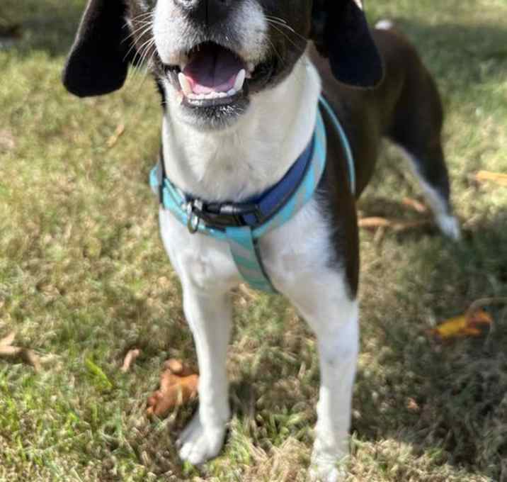 Photo of Mookie Blalock