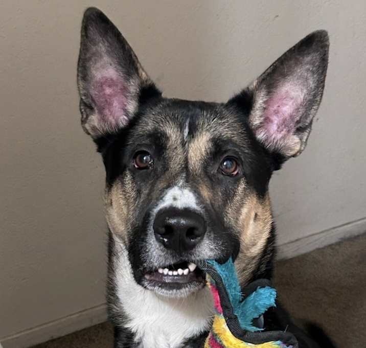 Photo of Jax Charles