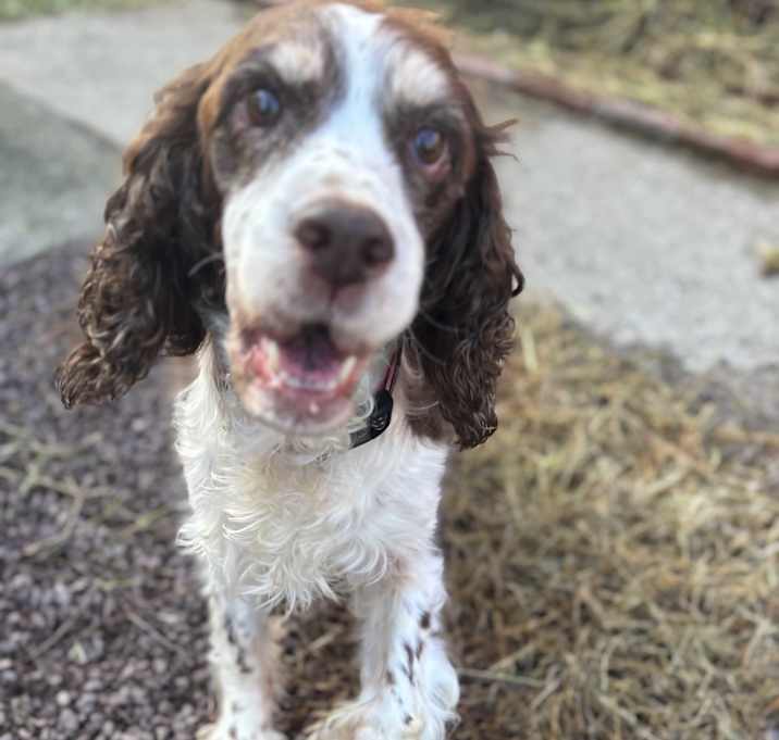 Photo of Autumn (PA) Sweet!