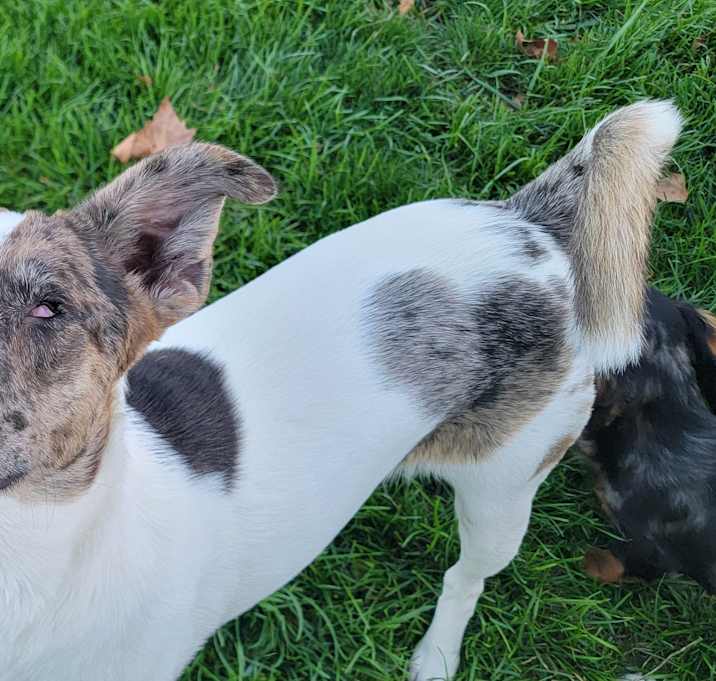 Photo of Ulti (PA) Loves people!