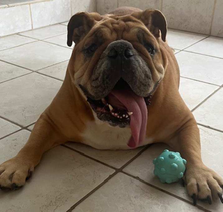 Photo of Ellie fka Candi