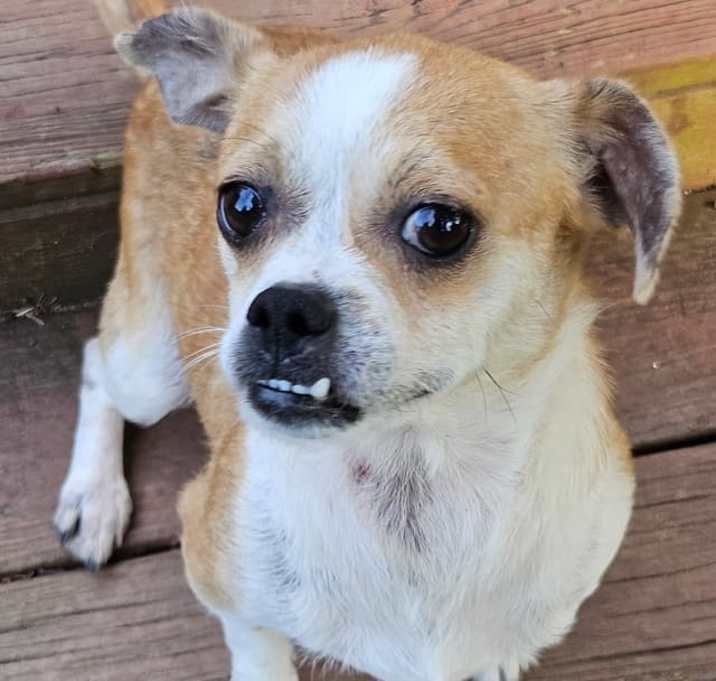 Photo of MAMA SAIDEE