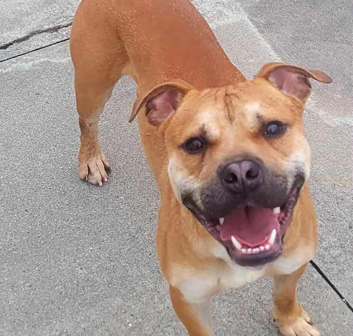 Photo of Prince! Cuddly Boy!