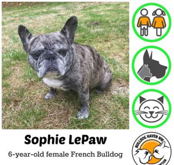 Photo of Sophie LaPaw