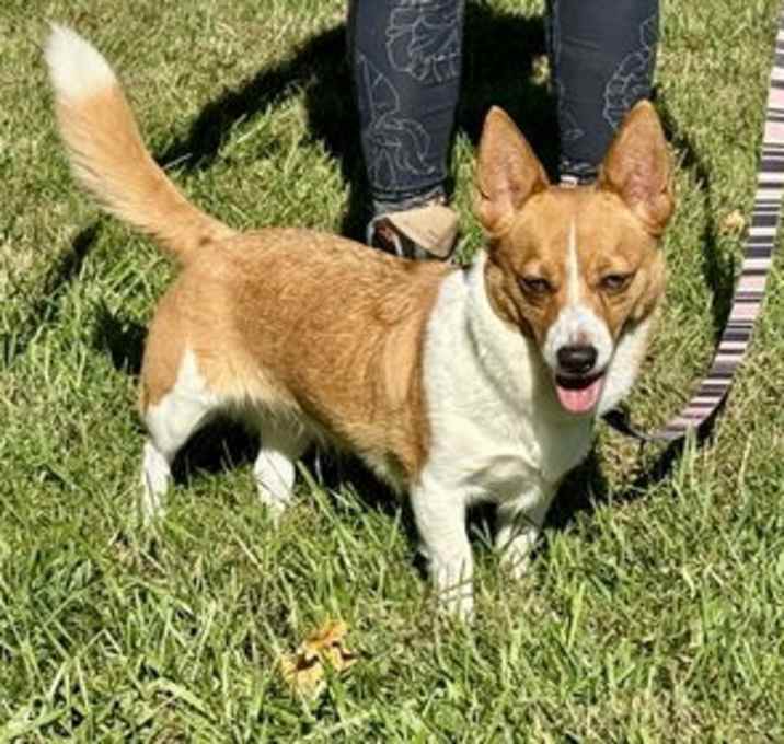 Photo of Zeek & Bella