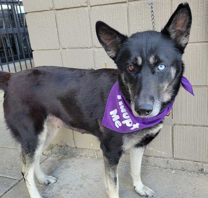 Photo of Delilah-Foster me?