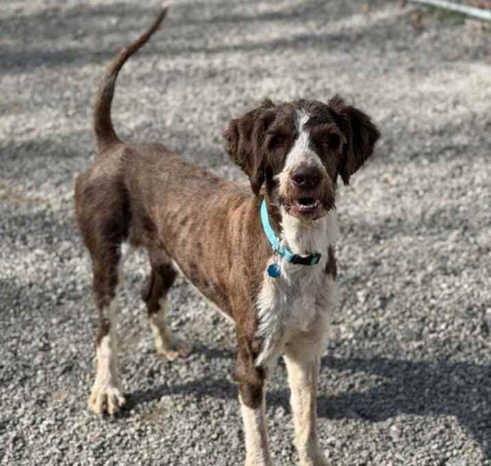 Photo of Holmes SCAS