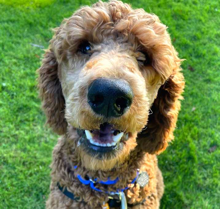 Photo of Ferrero Rocher