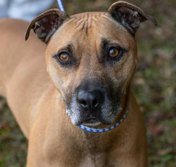 Photo of SCOOBYDOO-30254