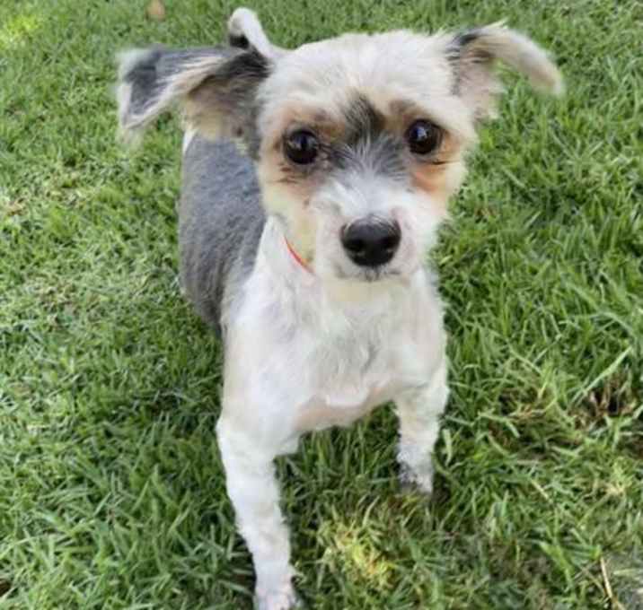 Photo of DANNY & SANDY