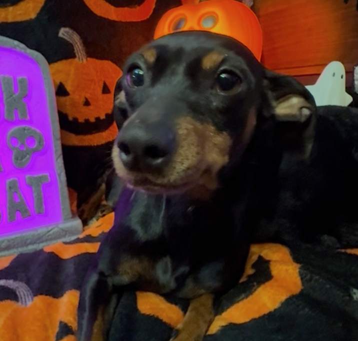 Photo of Stevie Nicks